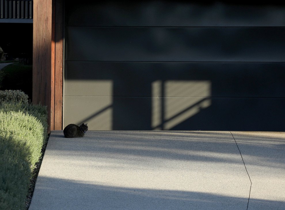 Concrete Driveway